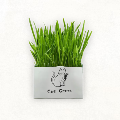 PurePaws Organic Cat Grass